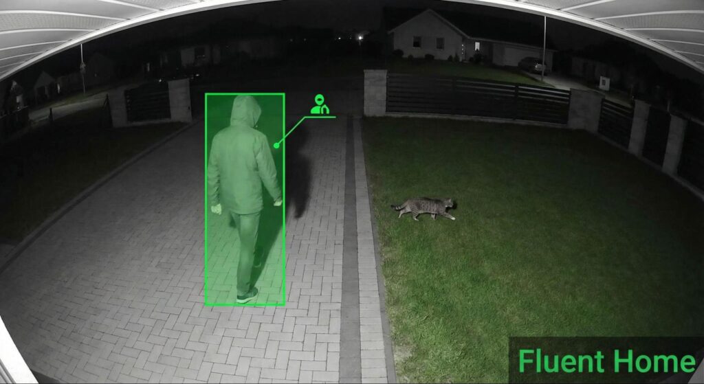 Night security camera detects a hooded person in the driveway while a cat walks nearby, highlighted with a green tracking box.