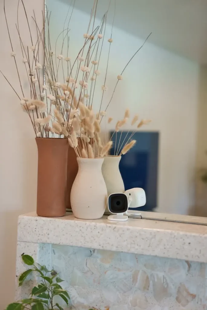 Home Security & Video Surveillance Systems