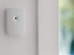 Detect Burglars